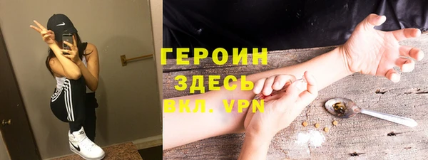 гидра Вяземский
