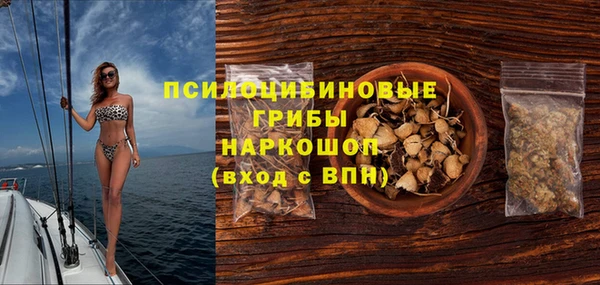 гидра Вяземский