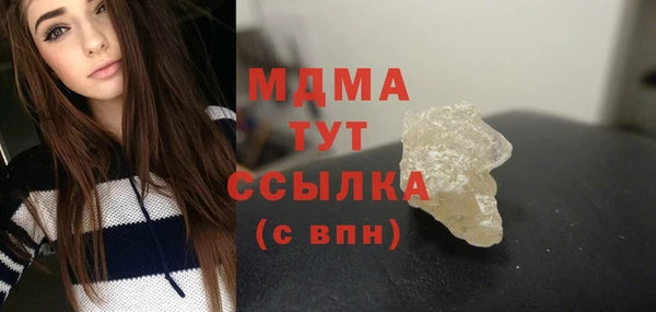 гидра Вяземский