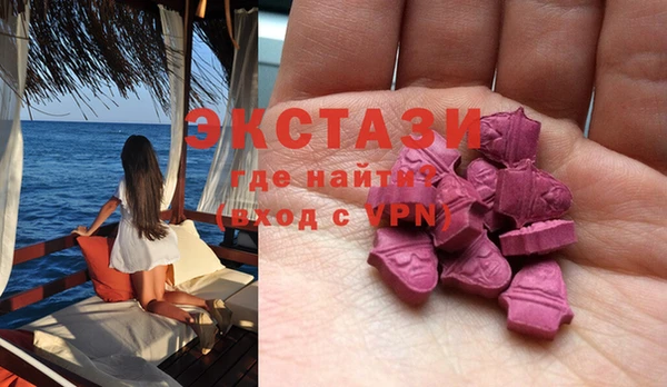 гидра Вяземский