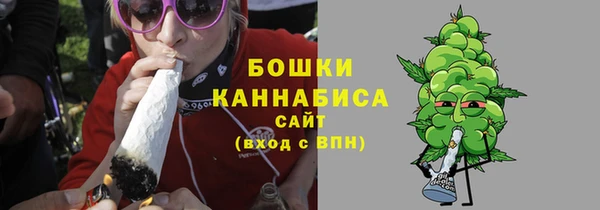 гидра Вяземский