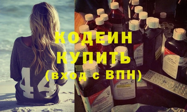 гидра Вяземский