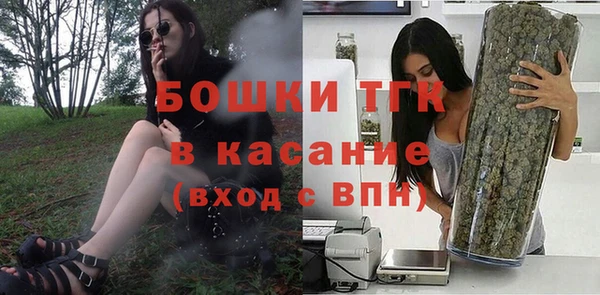 гидра Вяземский