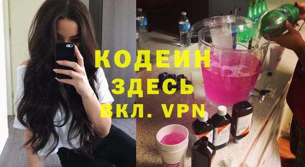 гидра Вяземский