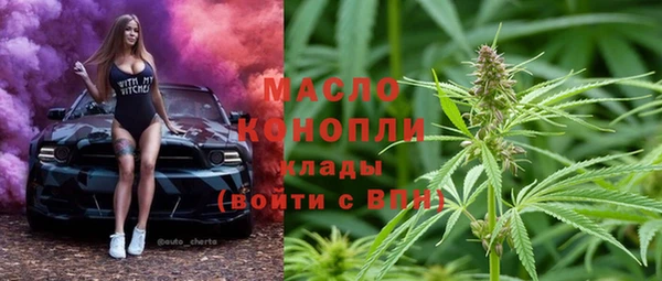 гидра Вяземский