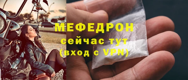 гидра Вяземский
