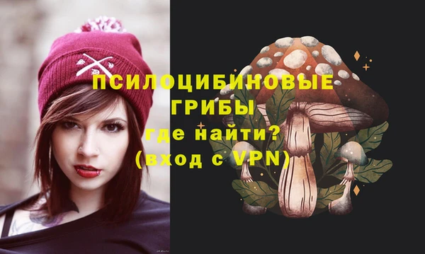 ешки Горняк